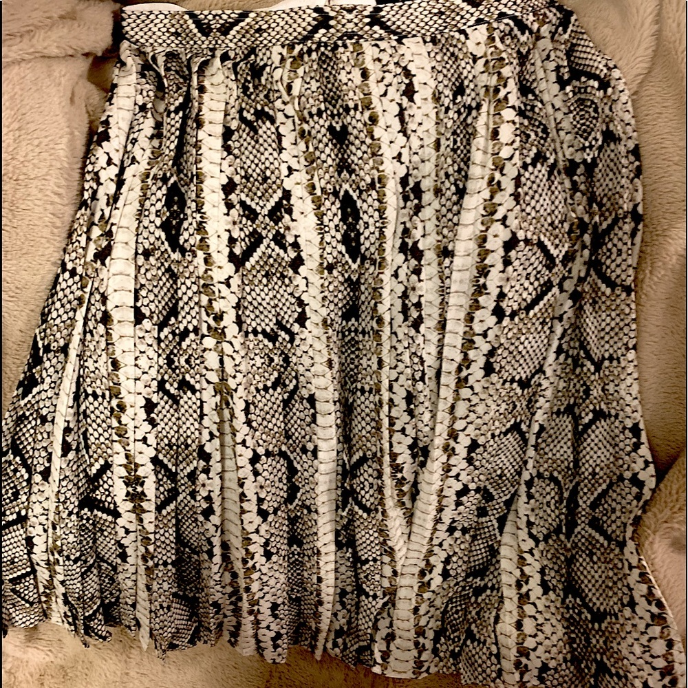 Jcrew Pleated Snack Print Skirt